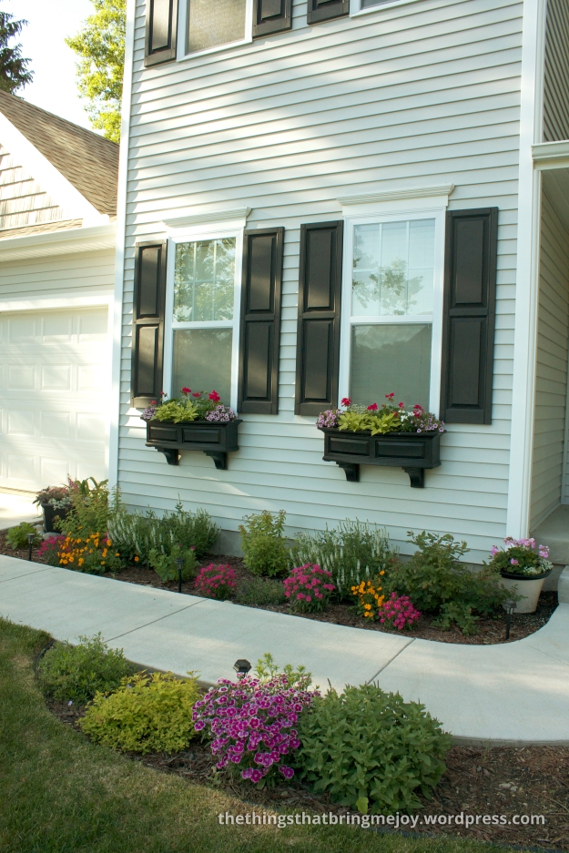 Window Boxes and front windows